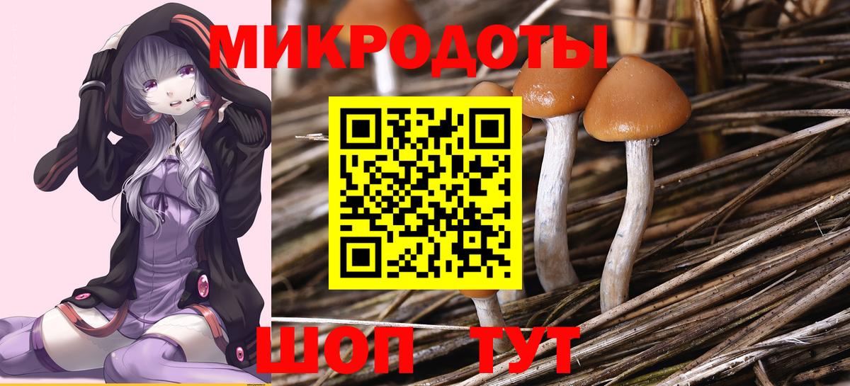 Кстово  Галлюциногенные грибы мухоморы  Вход с VPN 