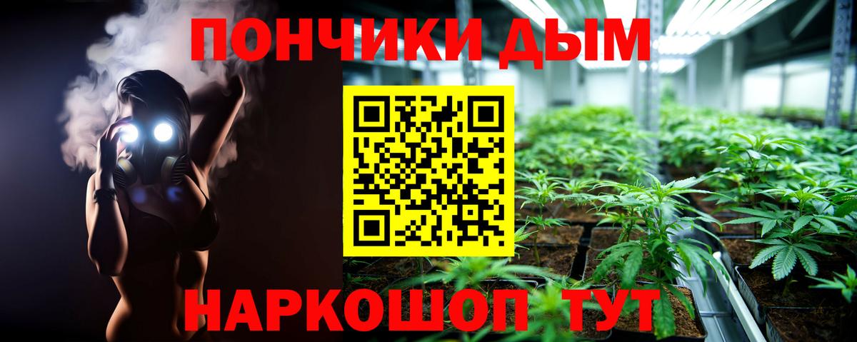 Конопля планчик Кстово